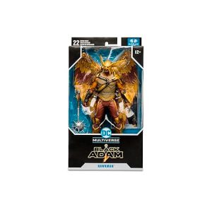 Hawkman DC Multiverse Black Adam Movie